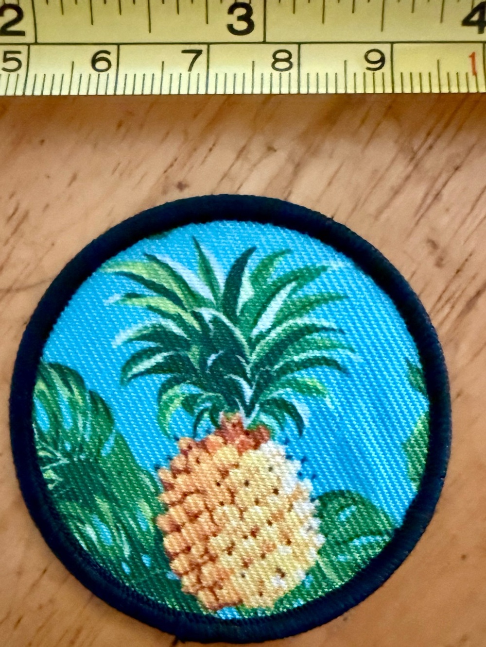 Pineapple Tropical Embroidered Patch - Blue & Green